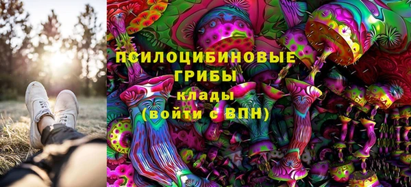 мдма Медвежьегорск
