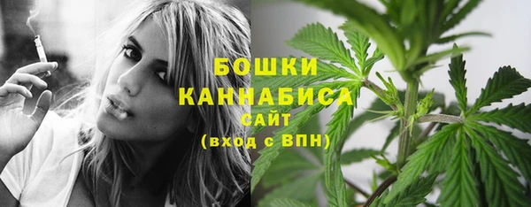 эйфоретик Михайловск