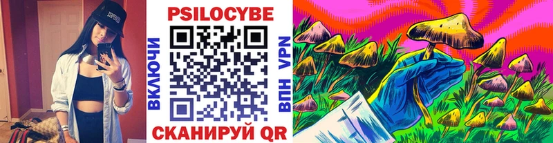 Псилоцибиновые грибы мицелий  Чаплыгин 